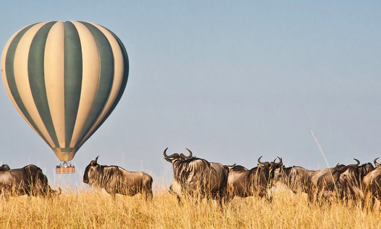 Hot Air Balloon Safari