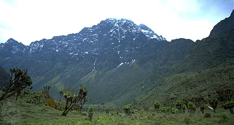 Margherita Peak View