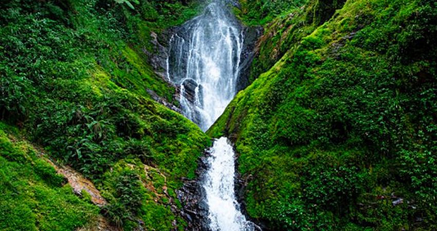 Waterfalls in Nyungwe
