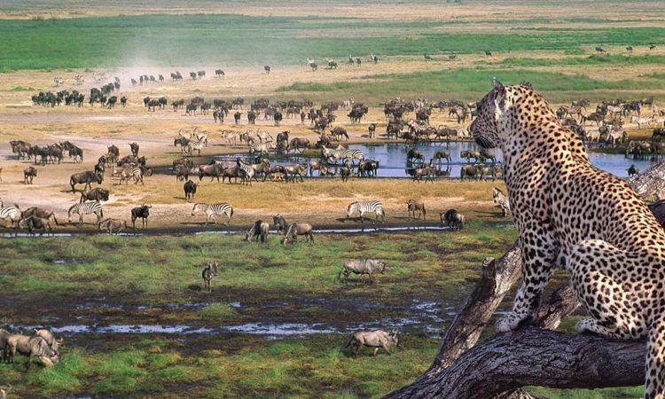 Ngorongoro Crater