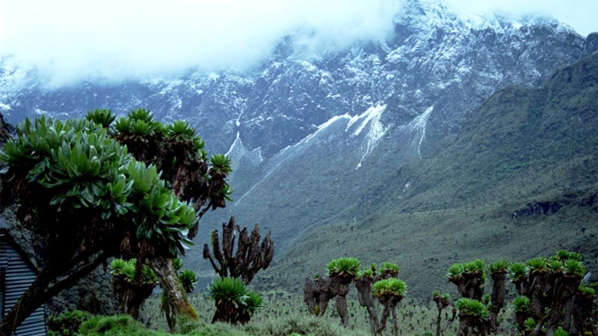 Scenic Trekking in Rwenzori