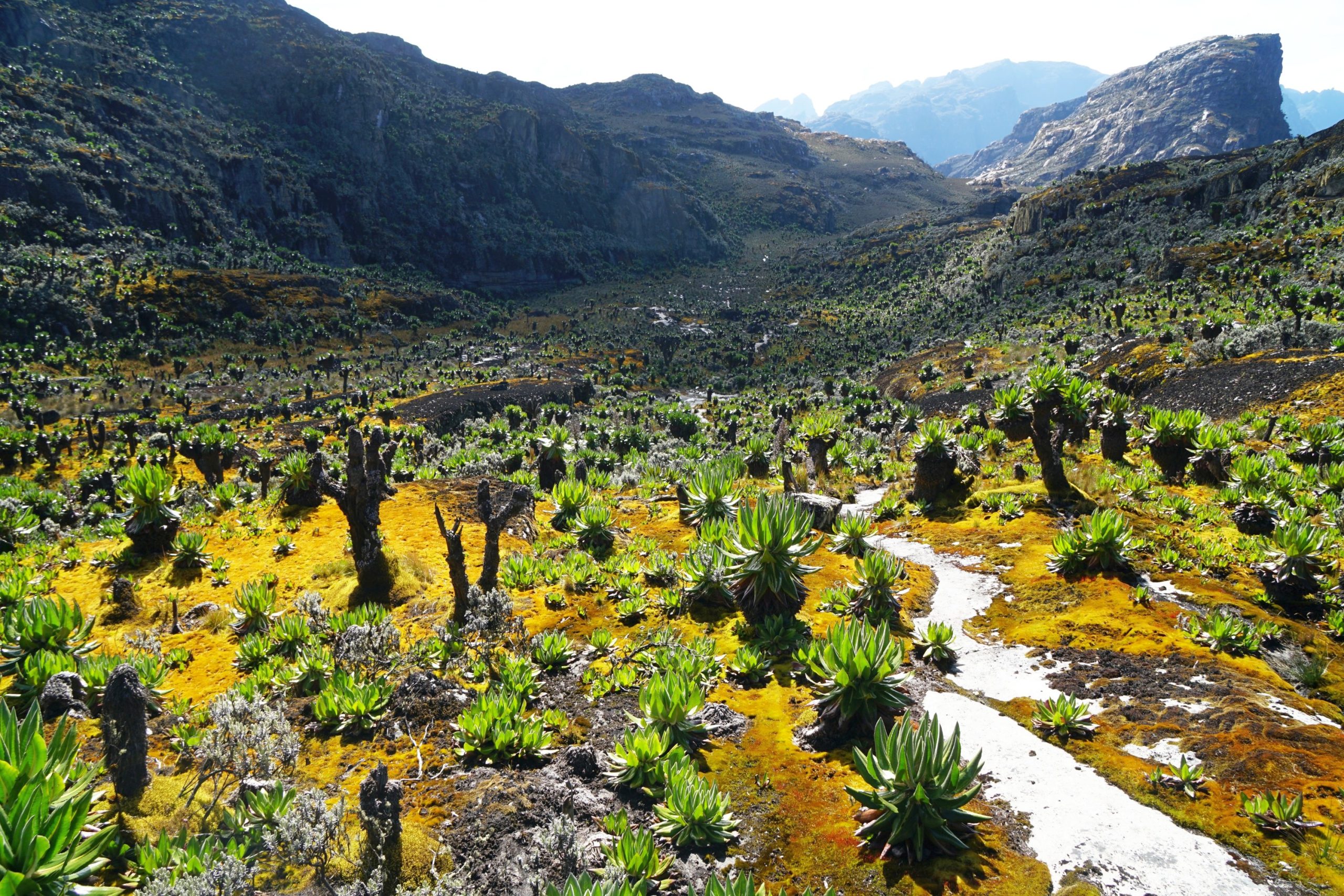 Valleys of Rwenzori