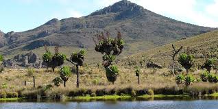 Mount Elgon Trek