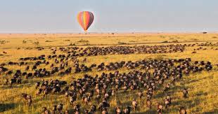 Balloon Safari Over Masai Mara