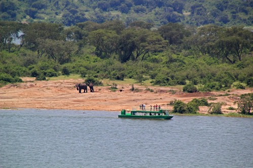 Boat Safari on Kazinga Channel
