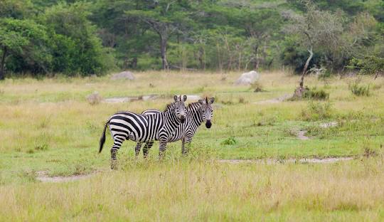 Lake Mburo National Park