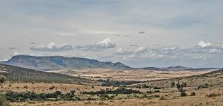 Masai Mara National Reserve Landscape