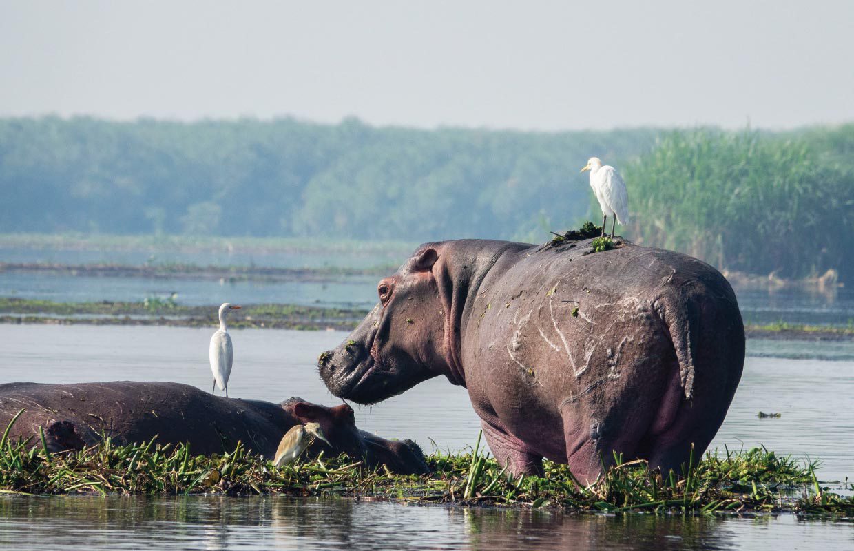 Semuliki National Park