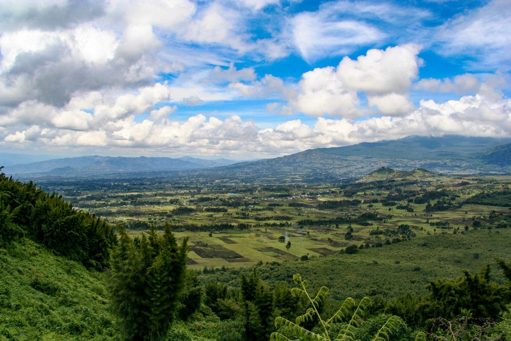 Rwanda Landscape