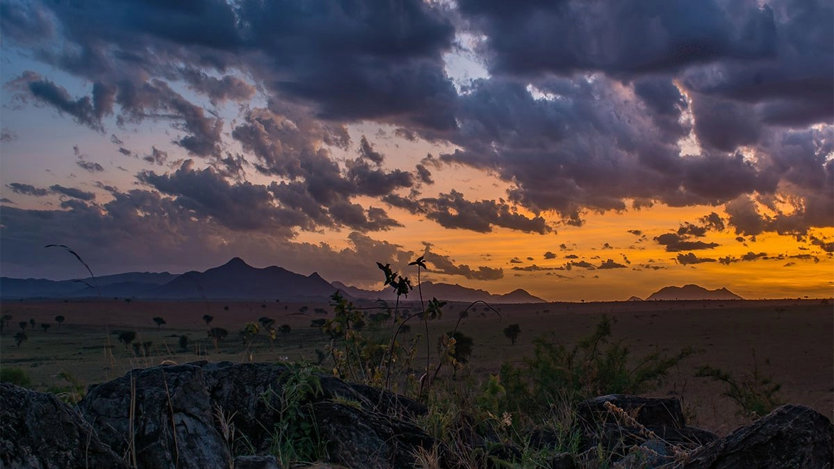 Kidepo Sunset