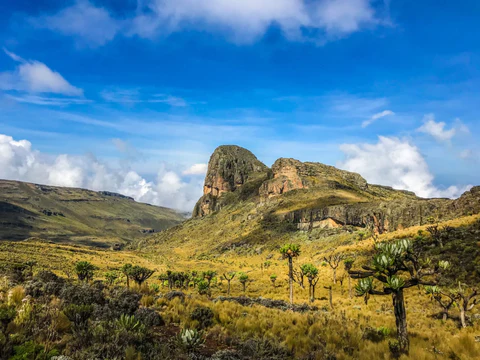 Wagagai Peak